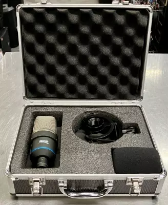 Apex540 large diaphragm condenser mic 2
