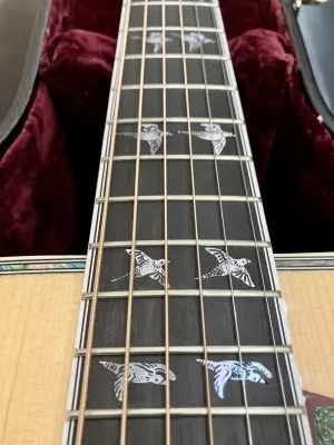Gibson Doves in Flight 6