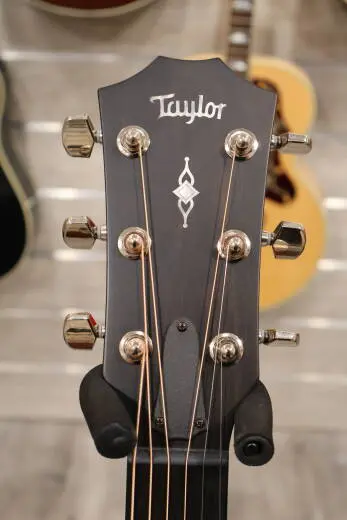 Taylor Guitars - 314CE 2