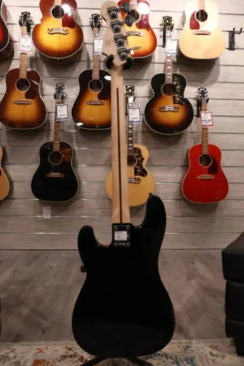 Squier - 037-8553-506 2
