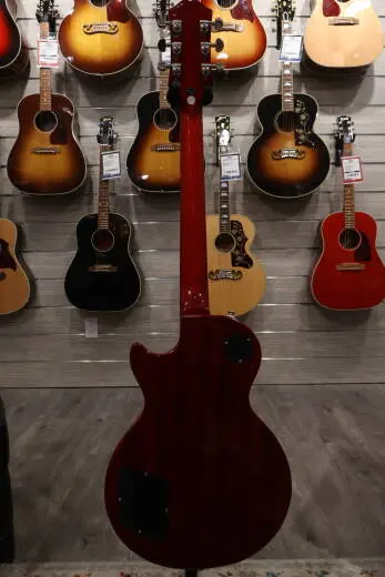 Epiphone - EILS6ITNH 2