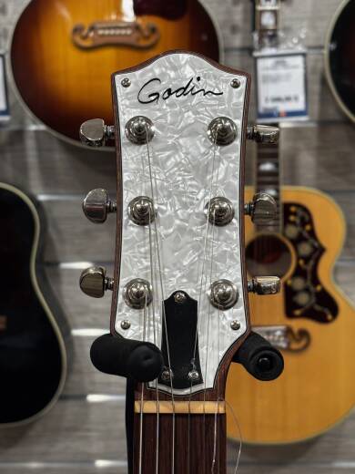 Godin Guitars Radiator Electric Guitar With Gig Bag - Matte Black