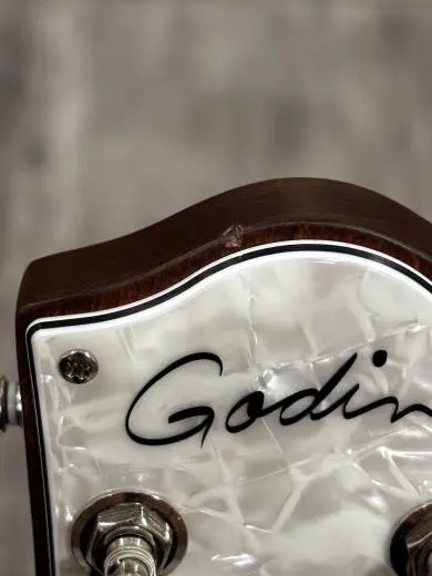 Godin Guitars - G48465 2