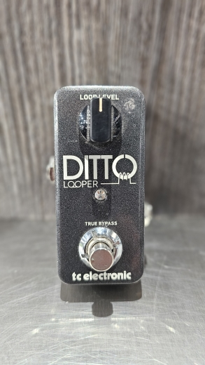 Store Special Product - TC Electronic - DITTO LOOPER
