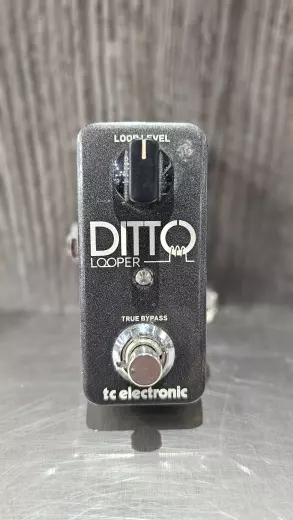 Store Special Product - TC Electronic - DITTO LOOPER