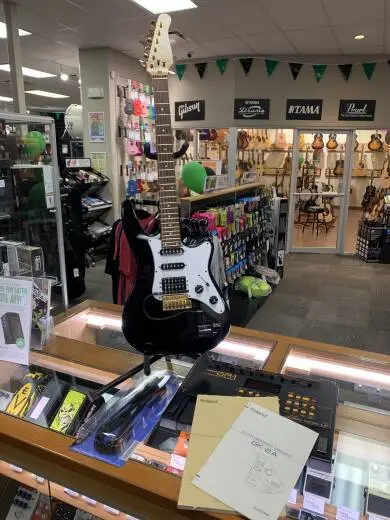 Roland GR1 & Godin Guitar
