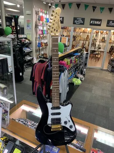 Roland GR1 & Godin Guitar 2