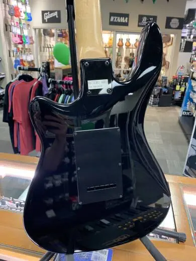 Roland GR1 & Godin Guitar 2