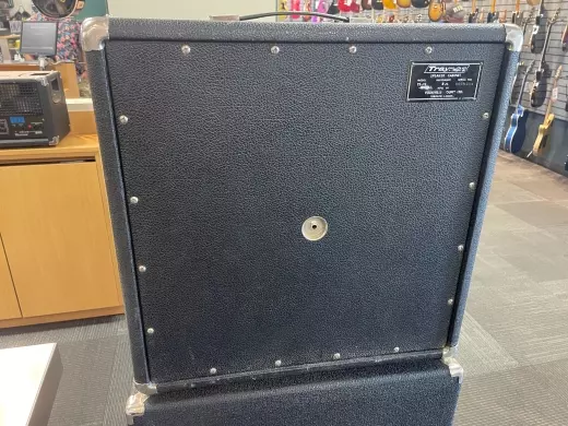 Traynor YS-15 Bass Cab 2