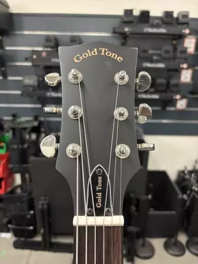 Gold Tone - A-6 SB 2