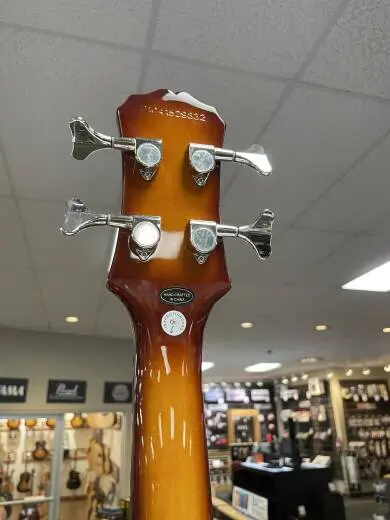 Epiphone - EBVIVSCH 2