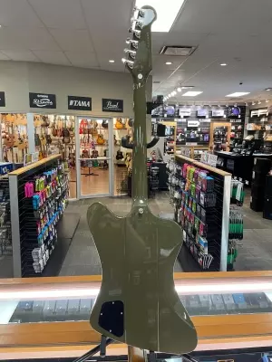 Epiphone - EIFBODNH 2