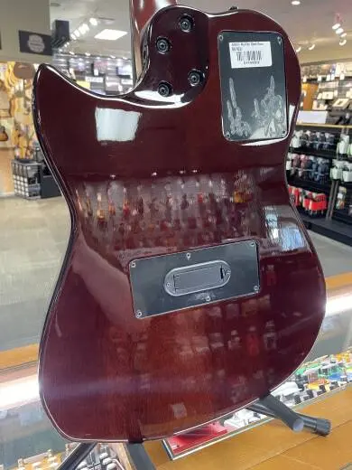 Godin Multiac Duet Steel 2