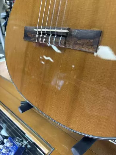 Cort Classical w/ Electronics 2