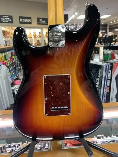 Fender - 011-3900-700 2