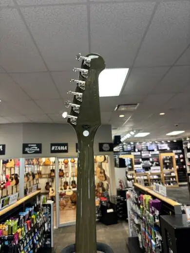 Epiphone - EIFBODNH 2