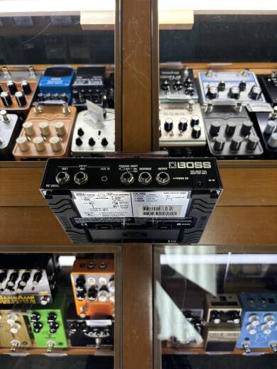 BOSS Twin Pedal - Loop Station | Long & McQuade