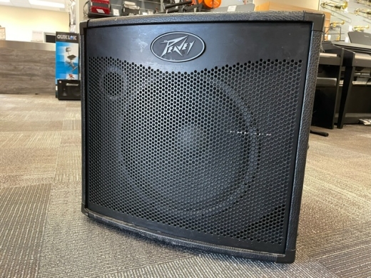 Gear Hunter | Peavey TKO 115 Bass Amp