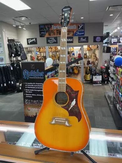 Epiphone - EEDVVBNH 2