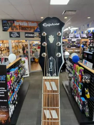 Epiphone - EEDVVBNH 2