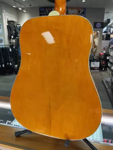 Epiphone - EEDVVBNH 2