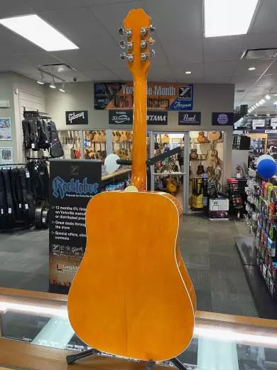Epiphone - EEDVVBNH 2