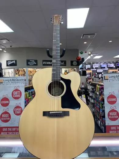 Gibson - ACG20ANNH 2