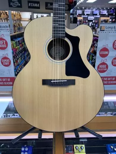 Gibson - ACG20ANNH