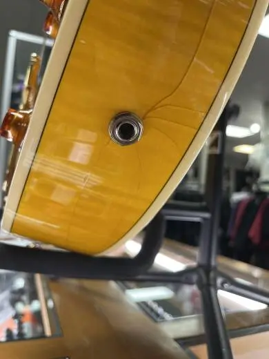 Epiphone - EMPPROVSGH 2