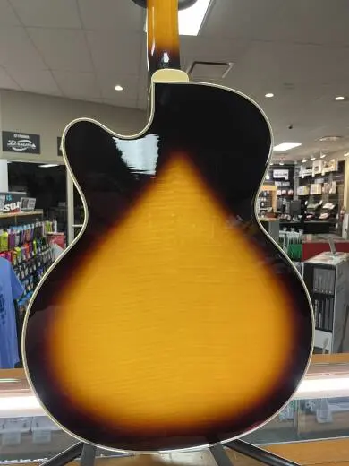 Epiphone - EMPPROVSGH 2