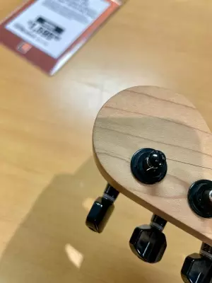 Charvel Guitars - 297-0011-504 2