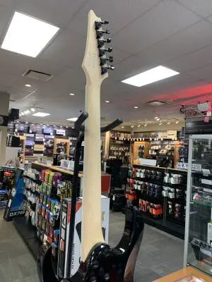 Ibanez - RG421DXTWS 2