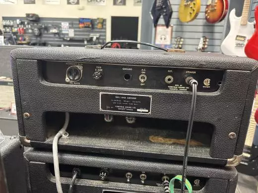 Late 60's Traynor YBA-1 Head 2