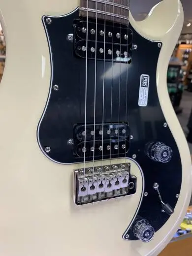 PRS Guitars - 104118::AW:19B 2