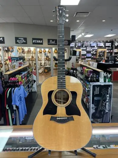 Taylor Guitars - 317E 2