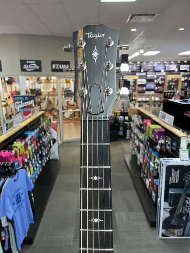 Taylor Guitars - 317E 2