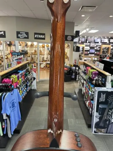 Taylor Guitars - 317E 2