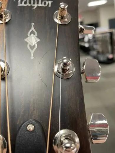 Taylor Guitars - 317E 2