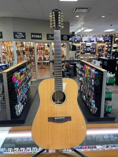 Fender 12 String 2