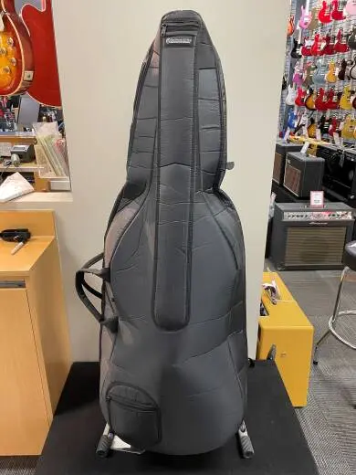 Eastman Strings - VC80ST 4/4 OF 2