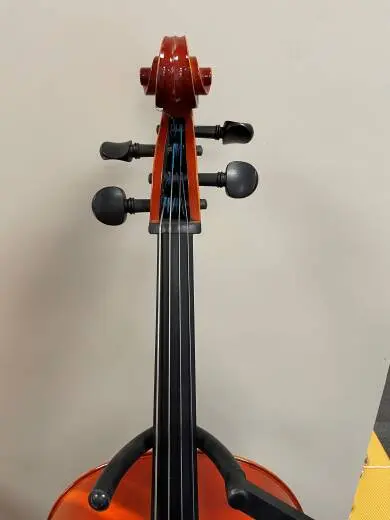 Eastman Strings - VC80ST 4/4 OF 2