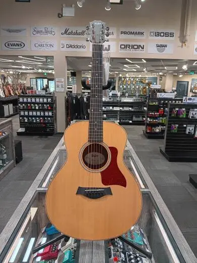 Taylor Guitars - GS MINI