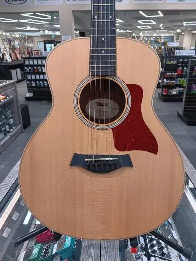 Taylor Guitars - GS MINI 2