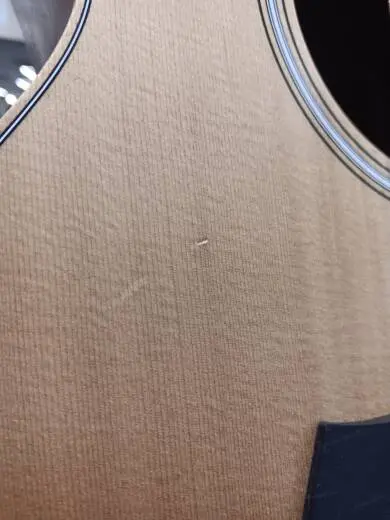 Taylor Guitars - GS MINI 2