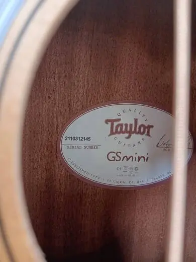 Taylor Guitars - GS MINI 2