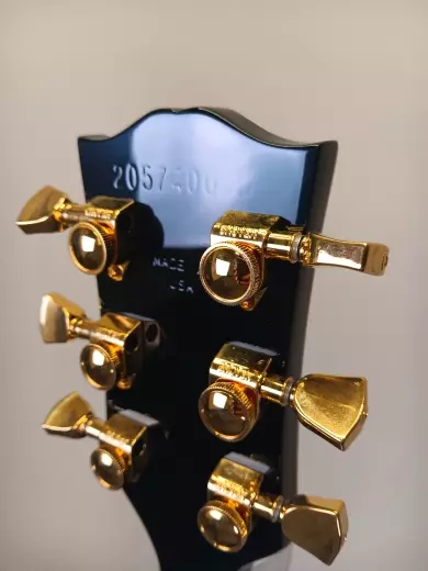 Gibson - Les Paul Supreme - Fireburst 2