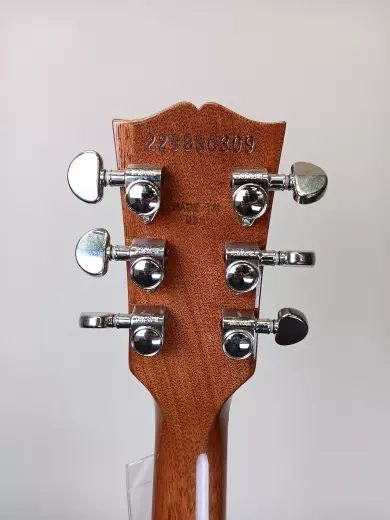 Gibson - Les Paul Standard 60s - Oxblood 2