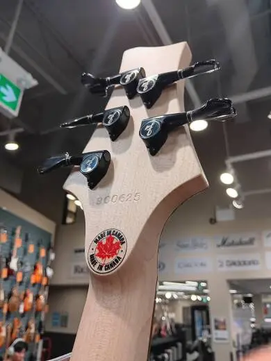 F-Bass BN5 Buckeye Top Natural 2