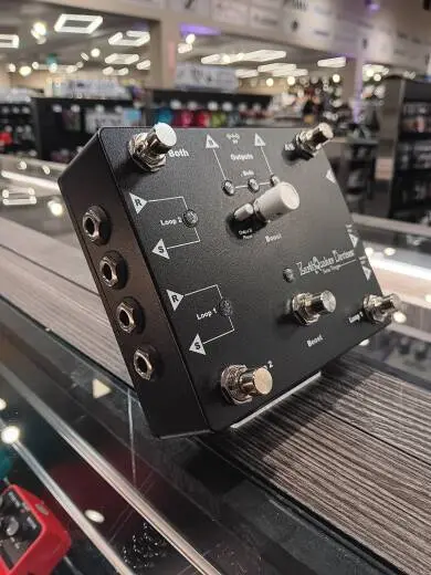 EarthQuaker Devices - EQDSWIS 2