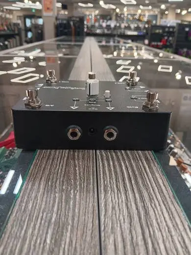 EarthQuaker Devices - EQDSWIS 2